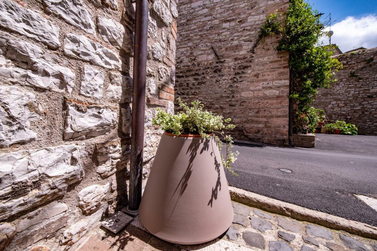 Perfetta Letizia Casa Vacanza Assisi Exterior foto